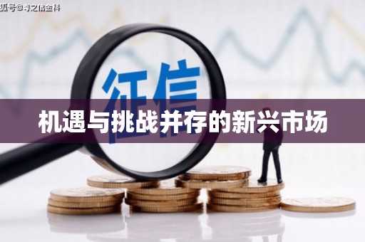 凤凰机遇与挑战并存的新兴市场