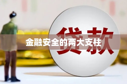 凤凰金融安全的两大支柱