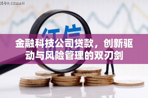 凤凰金融科技公司贷款，创新驱动与风险管理的双刃剑
